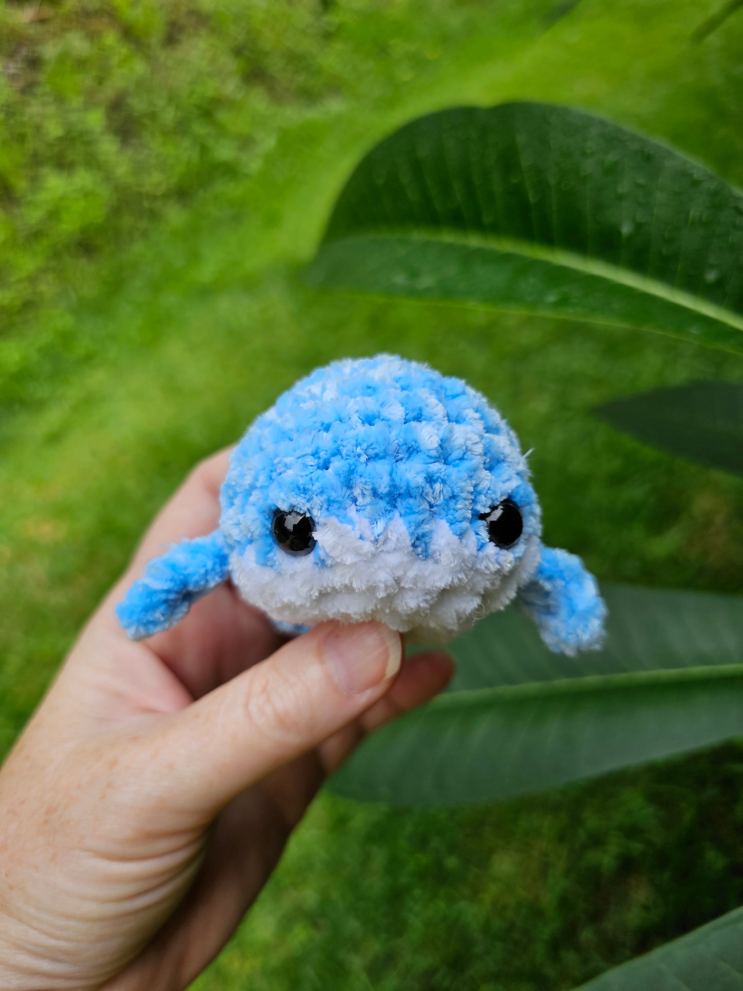 Whale plushie